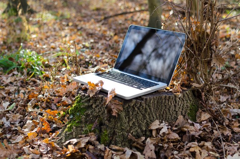 laptop wi-fi internet w lesie
