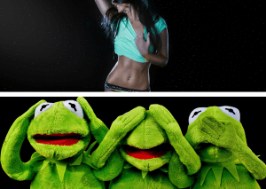 erotyka kermit dni papieskie