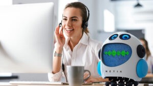voicebot netia