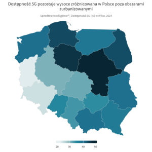 polski internet