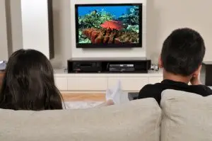 telewizja netia