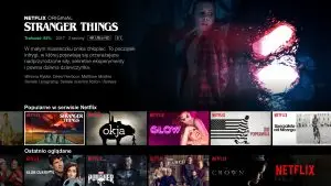 netflix na platformie canal+
