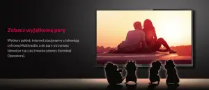 multimedia polska telewizor