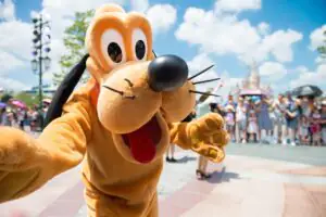 pies pluto w disneylandzie