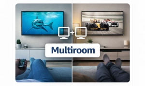 Multiroom